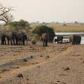 img-184