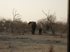 img-187