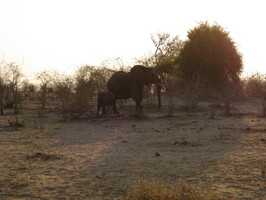 img-188