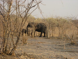 img-189