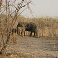 img-189