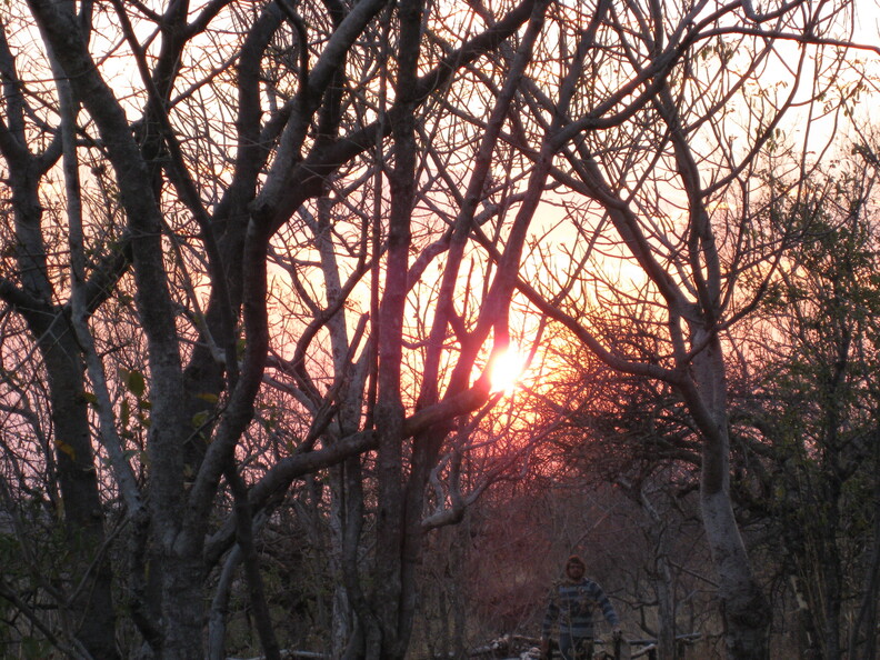 img-19.jpg