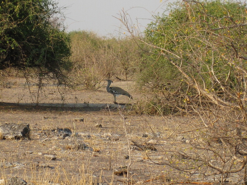 img-192.jpg