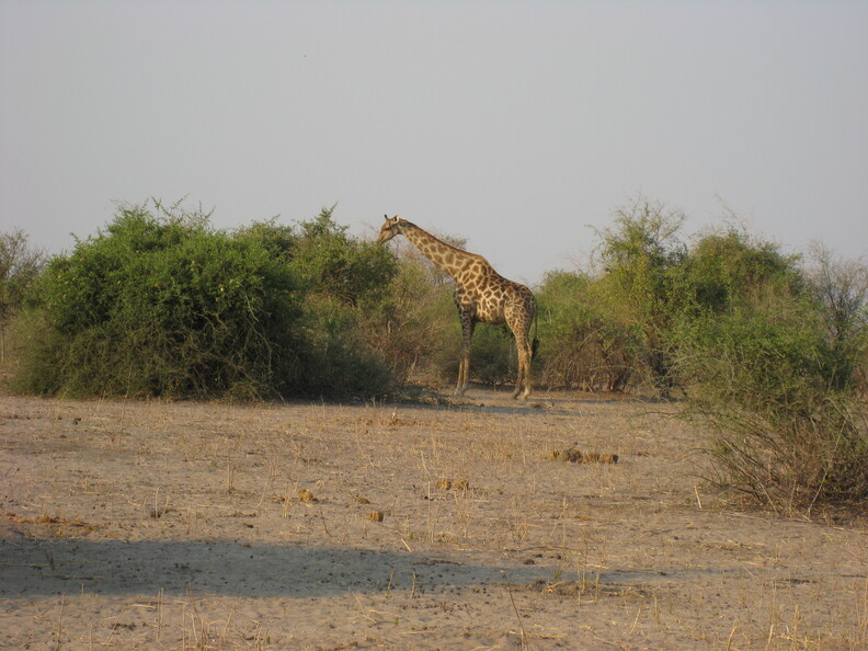 img-193.jpg