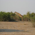 img-193