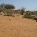 img-196