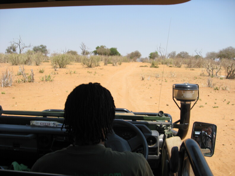 img-197.jpg
