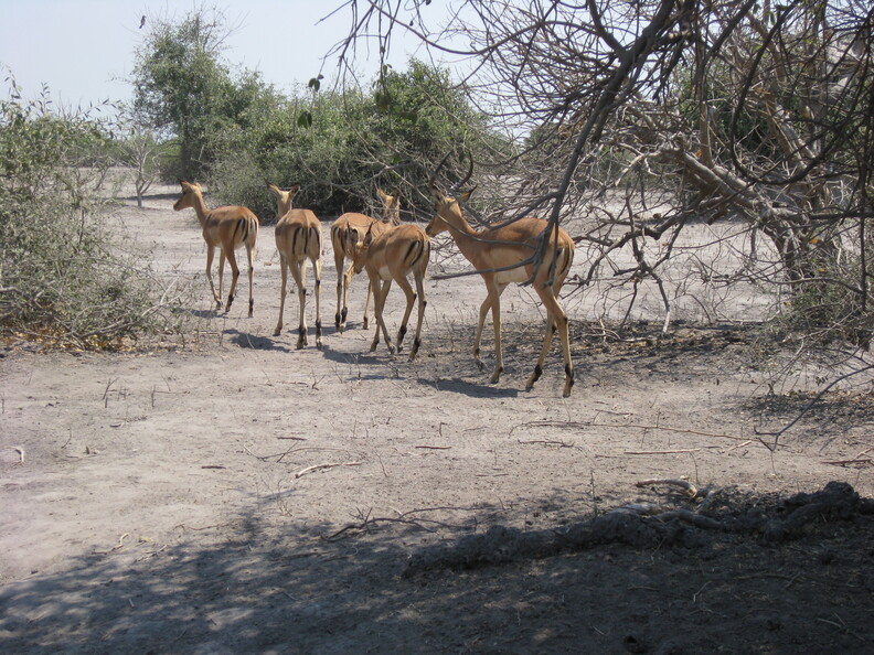 img-199.jpg