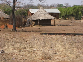 img-2