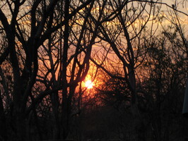 img-20