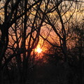 img-20