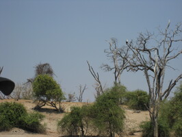 img-205