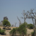 img-205