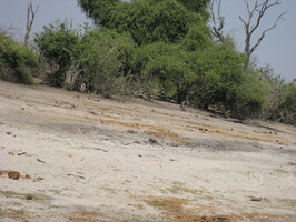 img-206