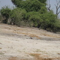 img-206