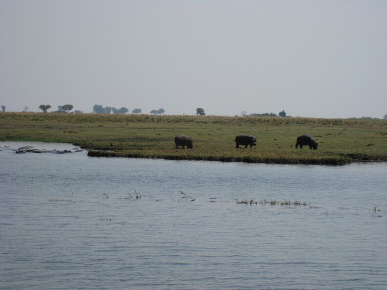img-209.jpg