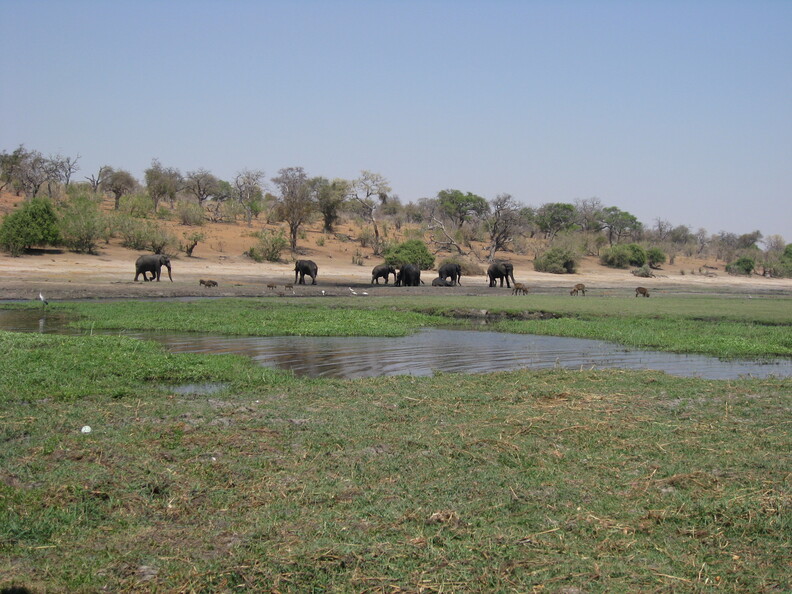 img-210.jpg