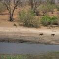 img-211