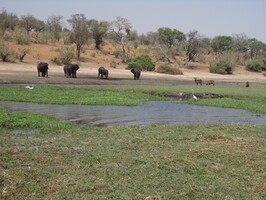 img-213