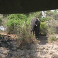 img-221
