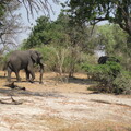 img-223