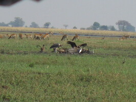 img-224
