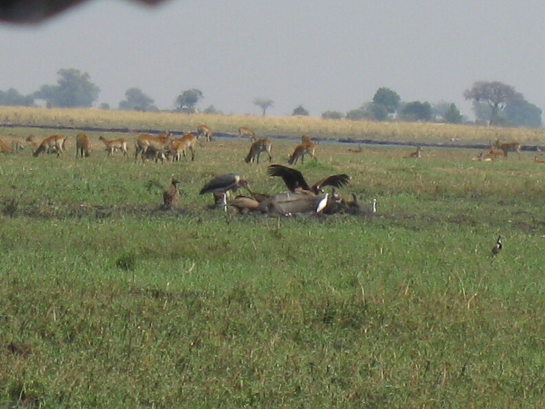 img-224.jpg