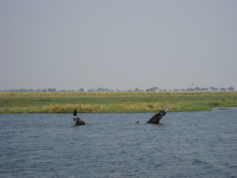 img-225.jpg