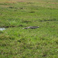 img-229