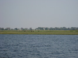 img-231