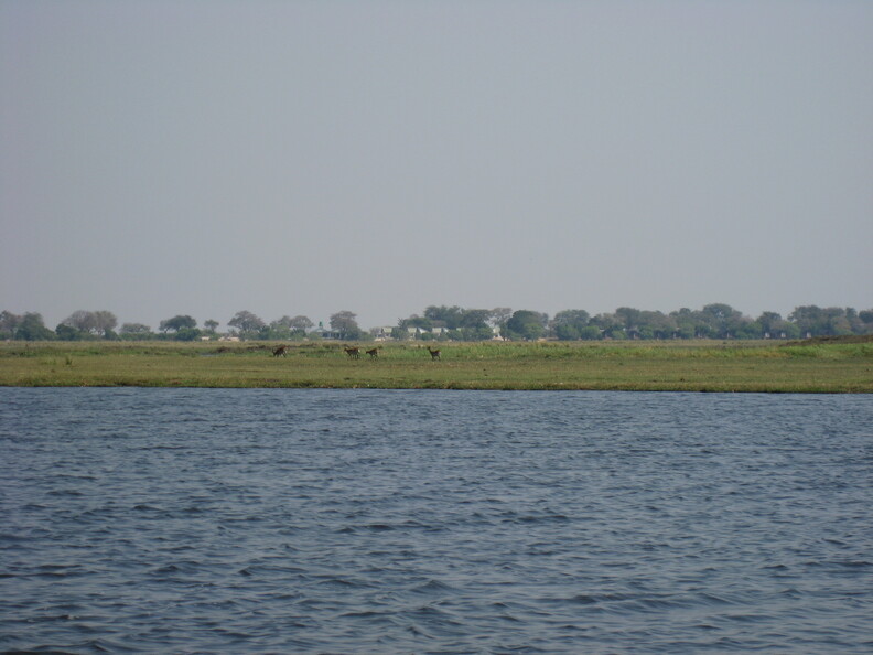 img-231.jpg