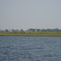 img-231