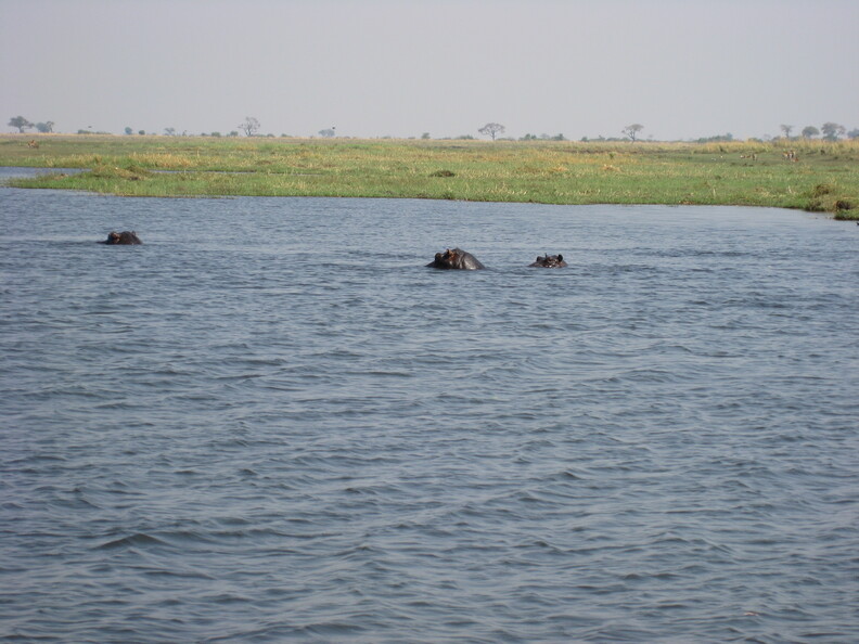 img-232.jpg