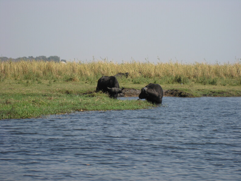 img-233.jpg