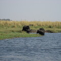 img-233