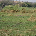 img-234