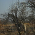 img-235
