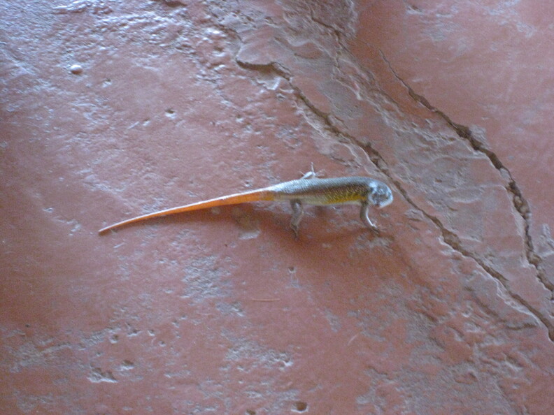 img-24.jpg