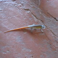 img-24
