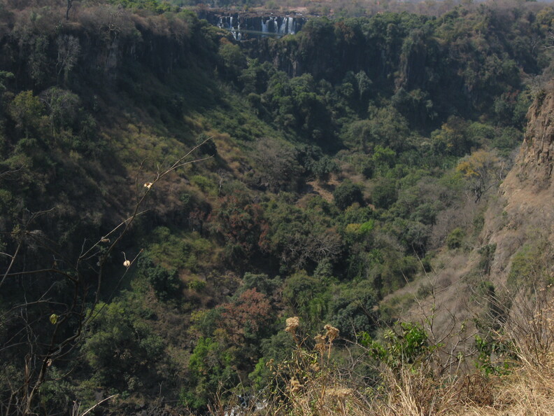 img-241.jpg