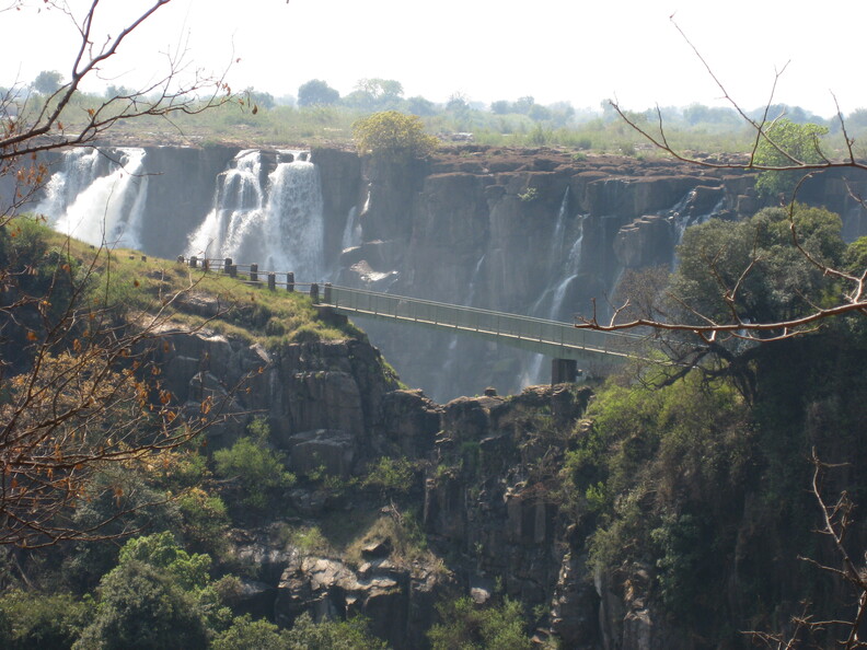 img-245.jpg