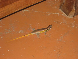 img-25