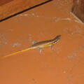img-25