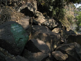 img-257