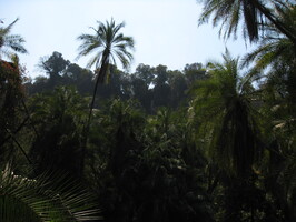 img-258