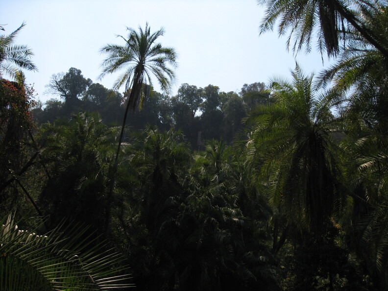 img-258.jpg
