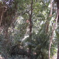 img-260