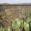 img-264