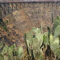 img-265