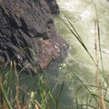 img-267
